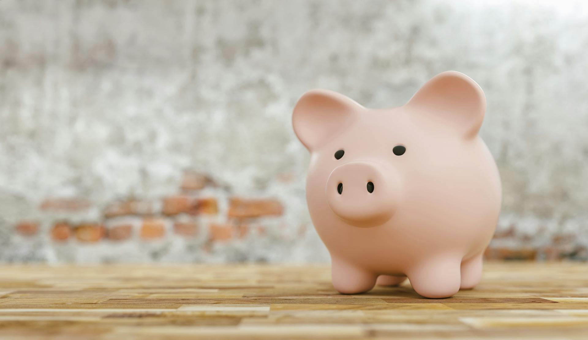 A piggy bank representing planning their finances.jpg